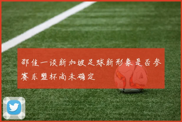 邵佳一谈新加坡足球新形象是否参赛东盟杯尚未确定