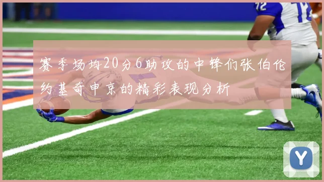 赛季场均20分6助攻的中锋们张伯伦约基奇申京的精彩表现分析