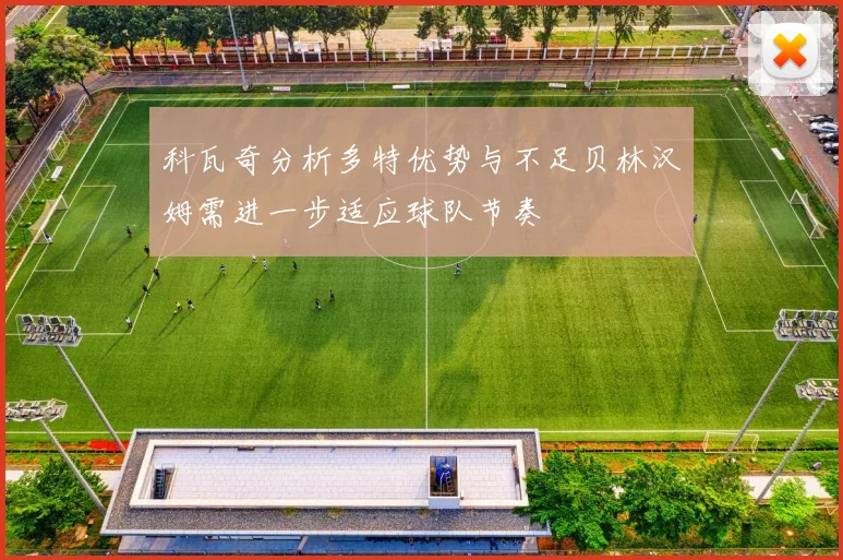 科瓦奇分析多特优势与不足贝林汉姆需进一步适应球队节奏