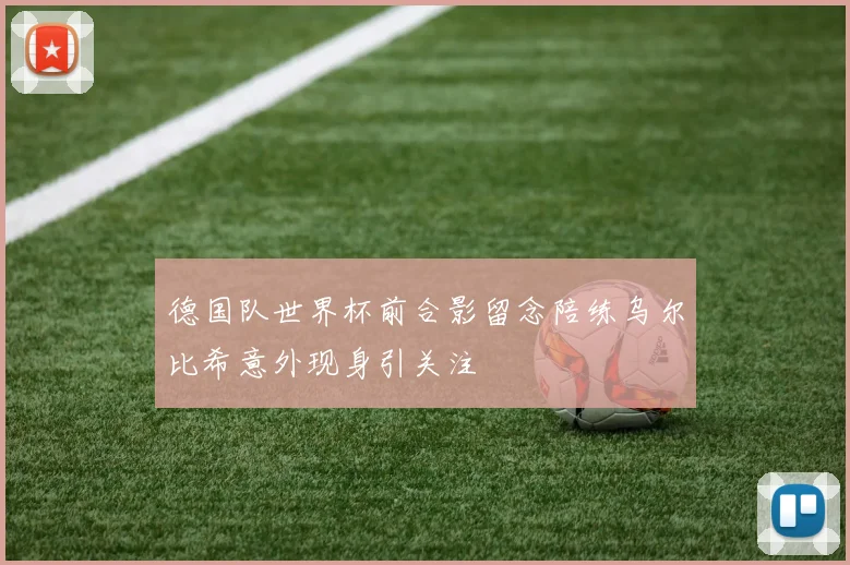 德国队世界杯前合影留念陪练乌尔比希意外现身引关注